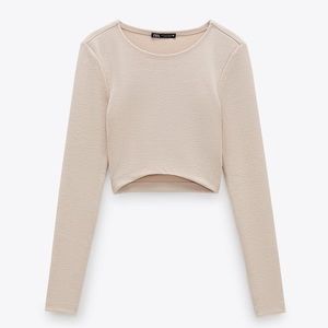 Zara crop top